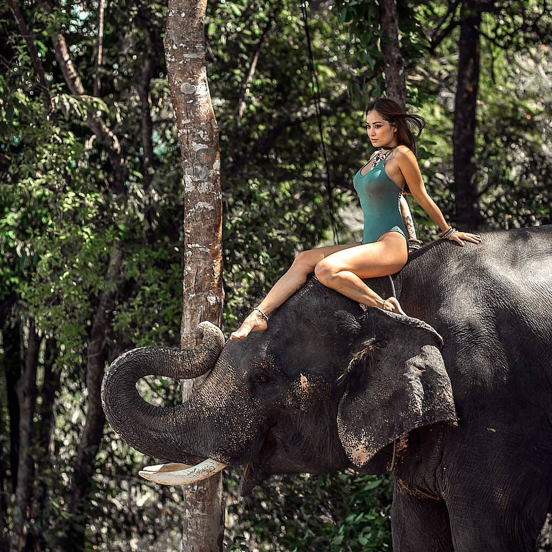 Поездка на слонах в Таиланде