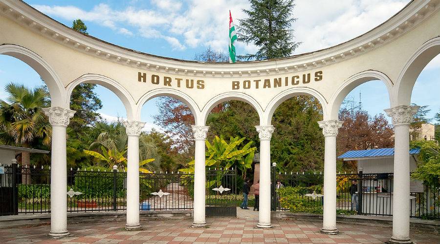 Отдых и посещение ботанического сада в Сухуми