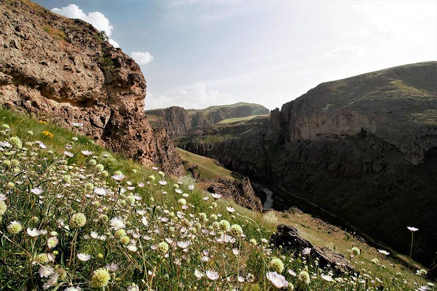 Весна природа Азербайджан