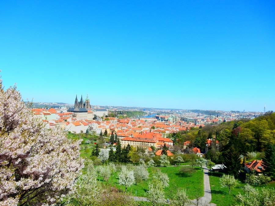 Страговский сад, Прага