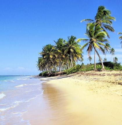 Песчаный пляж на берегу Карибского моря