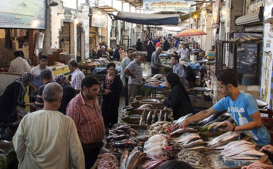 Рыбный рынок, Египет