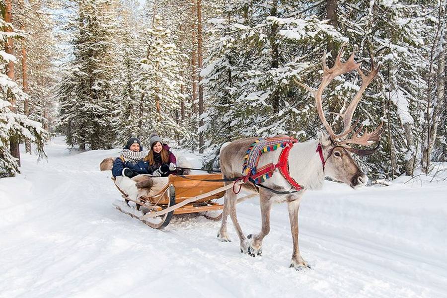 Зимний отдых в Финляндии
