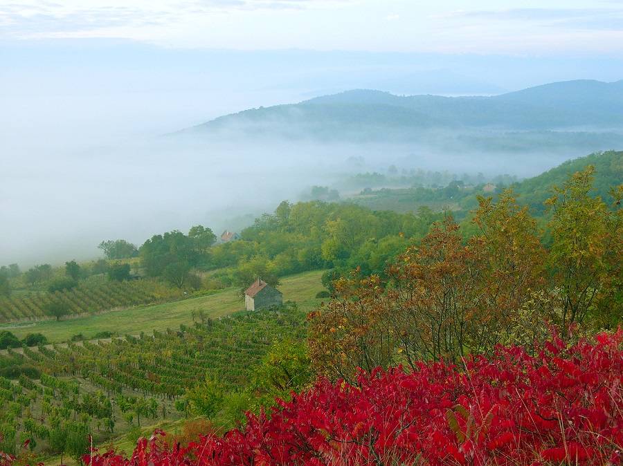 Осенний венгерский пейзаж