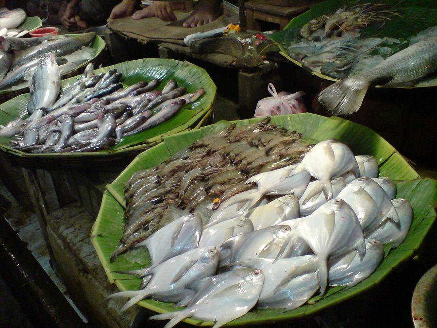 Большой выбор свежей рыбы и морепродуктов можно найти на специализированном рынке