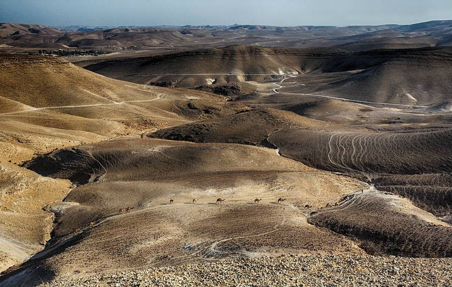 Отдых в пустыне на Мертвом море 