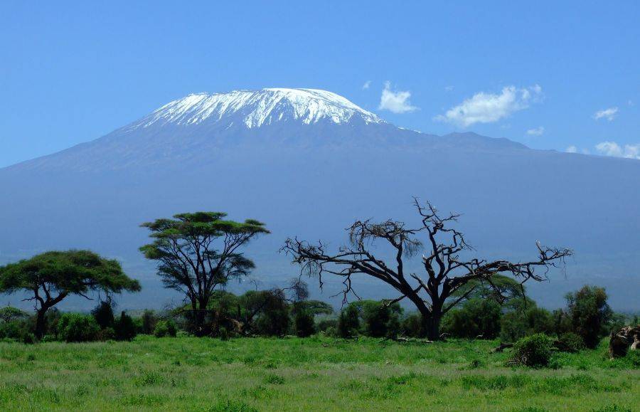 Великолепный вид на гору Килиманджаро