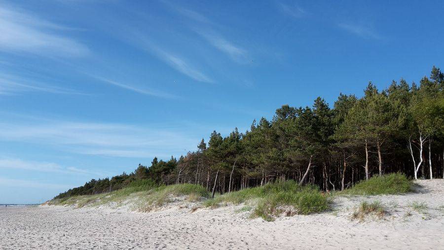 Чистый песок, мелкое море и сосновые боры вокруг - отличное место для отпуска