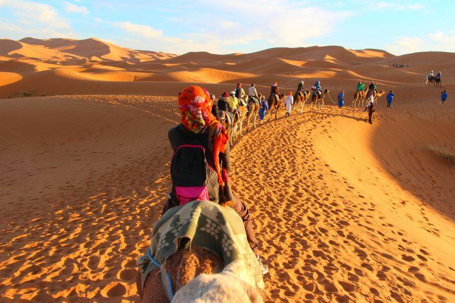 Золотые пески пустыни и караван верблюдов