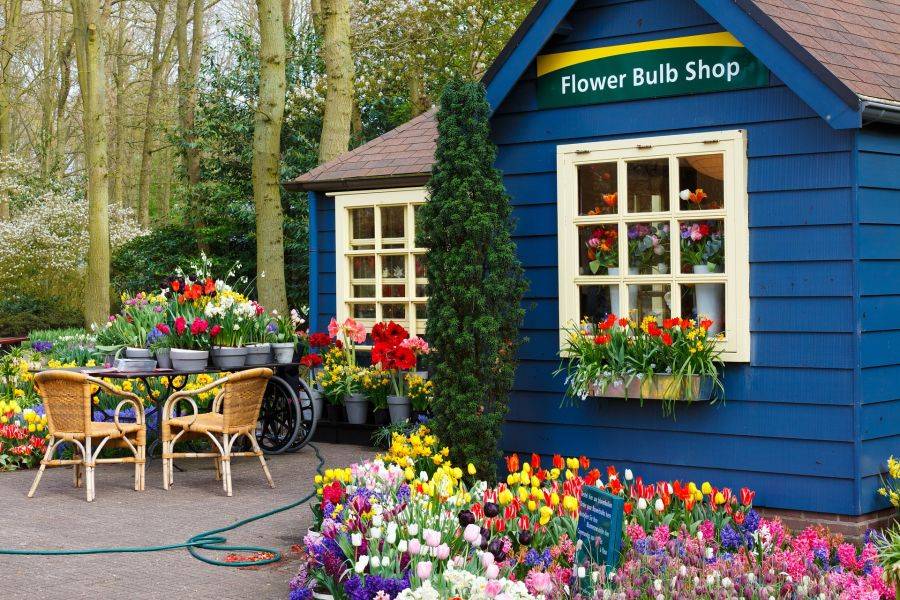 Уютный и невероятно красивый цветочный магазин