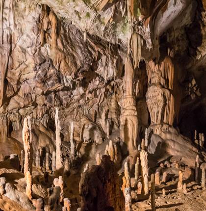 Постойнска-Яма сеть пещер