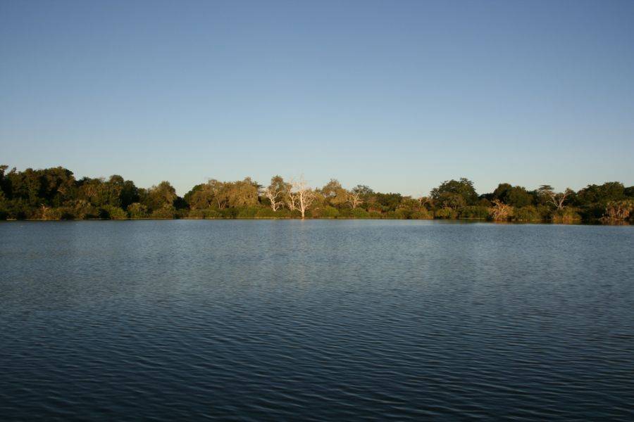 Озеро в парке Селус