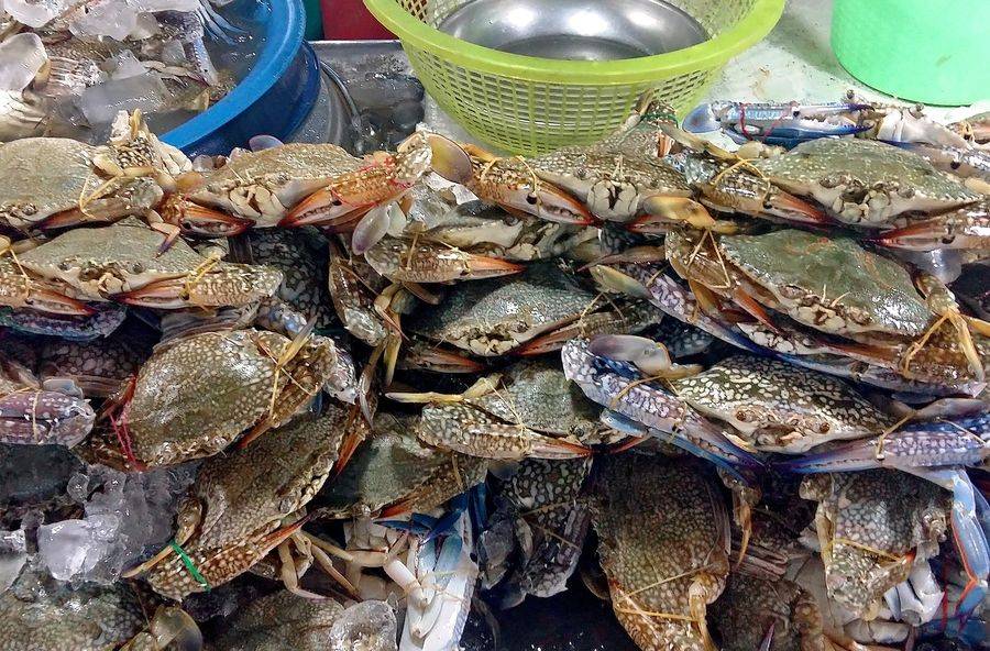 Свежайшие морепродукты можно попробовать в ресторанах на острове